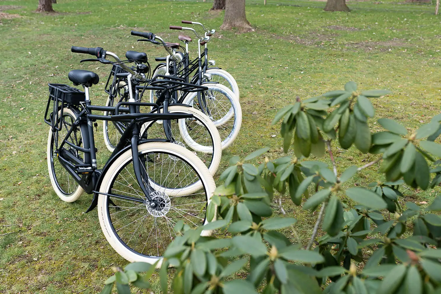 Fietsen van Hotel de Werelt op een grasveld