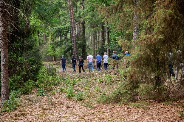 Teamdag in de natuur op de Veluwe